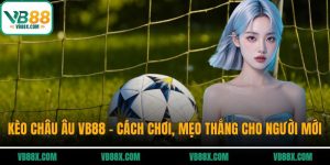 Kèo Châu Âu VB88 - Cách Chơi, Mẹo Thắng Cho Người Mới Kèo châu Âu